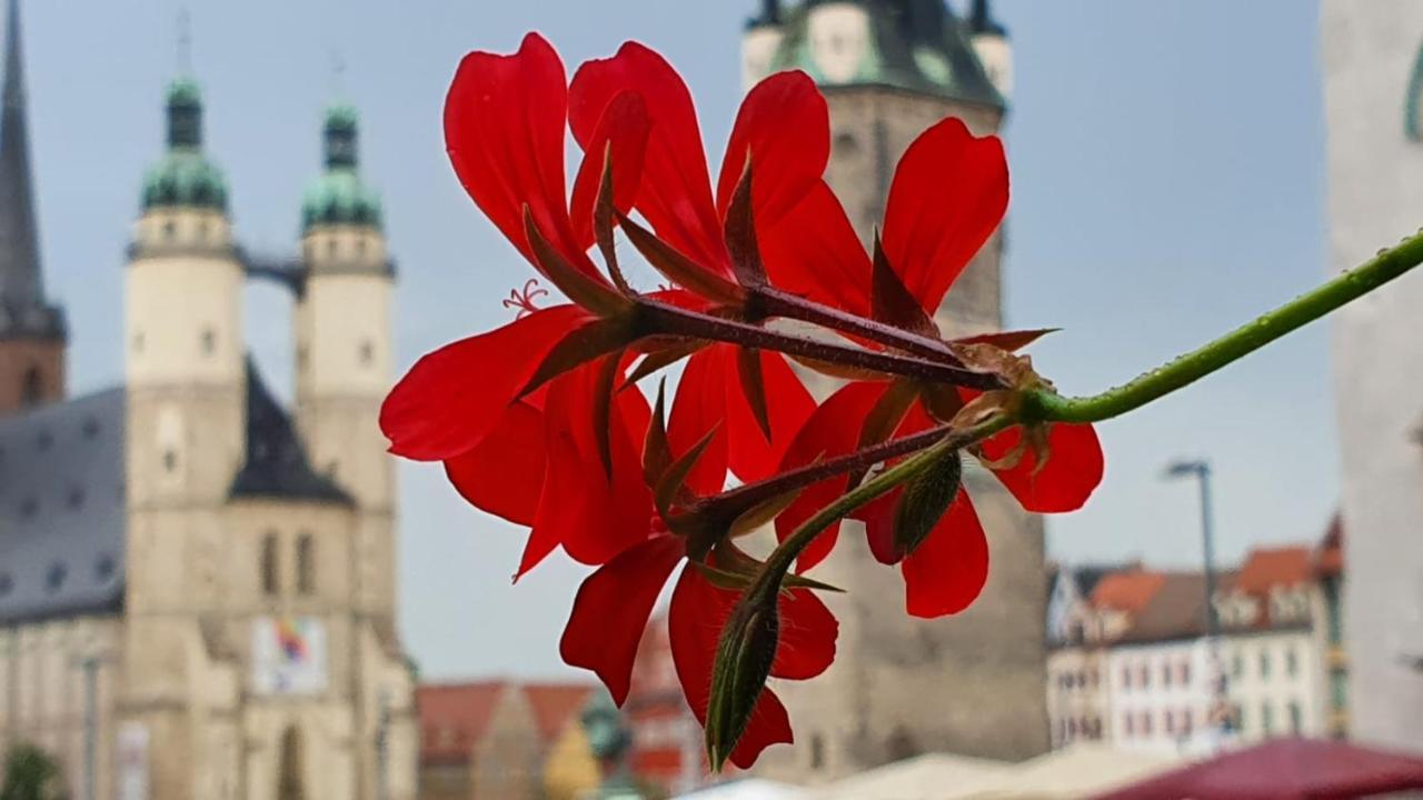 Budget Rooms In Halle With Shared Bathroom, Free Wifi, Netflix & Ipad Halle (Saale) Exterior foto